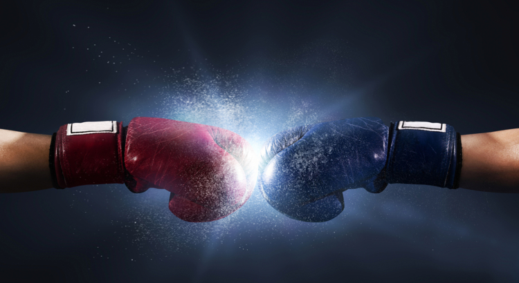 Boxhandschuhe