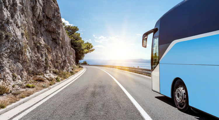 Bus