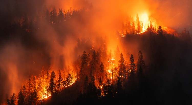 Waldbrand