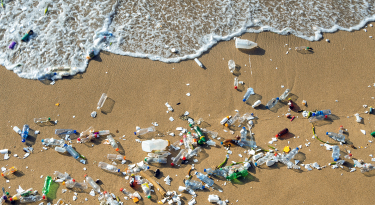 Müll Strand Umweltverschmutzung